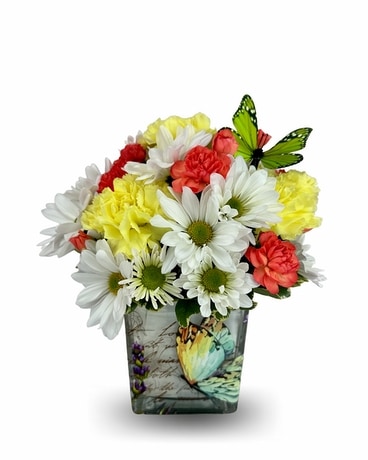 Spring Butterfly Cube Flower Arrangement